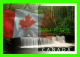 SHANNON, BC - BELOW SHANNON FALLS - POSTAGE PAID - DIMENSION  12X 17 Cm - - Autres & Non Classés