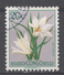 Belgian Congo 1952. Scott #265 (U) Flower's Velozia * - Oblitérés