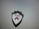 UNIQUE WWII EXTREMELY RARE RED CROSS BADGE GSO BULGARIA AWARD ENAMEL PIN "READY FOR SANITARY DEFENSE" - Medizinische Dienste