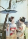 JAPAN  NIPPON  GIAPPONE  KYOTO  Maiko  Geisha - Pin-Ups