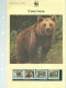 Delcampe - Album WWF (2) Coll.nat. Et Ani Sauv.girage Lycaon Muscivore Marte Amazone Ours Pangolin 4 Tim.neufs 4 Env 1° Jour Fiches - Collections (with Albums)