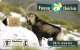 TELECARTE ESPAGNE FAUNA IBERICA CABRAS MONTES 07/96 TIRAGE 1.000.000 - Sammlungen