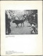 Livre De  Luis Del Campo - Historia Tragica Del Encierro De Pamplona - Histoire Et Art