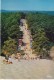 33.  ARCACHON. LA MONTÉE A LA DUNE DU PYLA . BELLE CARTE  ANNÉE 1978 - Arcachon