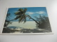 STORIA POSTALE FRANCOBOLLO CONCHIGLIA SHELL MALDIVES SPIAGGIA - Maldive