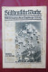 "Süddeutsche Woche" Bilderbeilage Der Neuen Augsburger Zeitung, Ausgaben 1/1931 Bis 37/1931 Und 39/1931 Bis 52/1931 - Politik & Zeitgeschichte