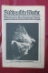 "Süddeutsche Woche" Bilderbeilage Der Neuen Augsburger Zeitung, Ausgaben 1/1931 Bis 37/1931 Und 39/1931 Bis 52/1931 - Politik & Zeitgeschichte