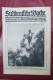 Delcampe - "Süddeutsche Woche" Bilderbeilage Der Neuen Augsburger Zeitung, Ausgaben 1/1931 Bis 37/1931 Und 39/1931 Bis 52/1931 - Política Contemporánea