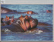 Flusspferd,  Hippo, Hippopotames, Ippopotami - Foto: Hans Rüdiger Koop - Hippopotames