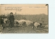 Corrèze : Vieille Bergère Et Ses Moutons. 2 Scans. Edition Bessot - Autres & Non Classés