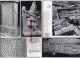 32 - LECTOURE - LE MUSEE PAR MARY LARRIEU DULER- - Tourism Brochures