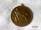 Suisse Médaille De La Paix 1918 "Fraternitas Inter Homines Futuros" - Non Classés