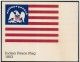 Stati Uniti/États-Unis/United States: Intero, Stationery, Entier, Evoluzione Della Bandiera USA, Evolution Of USA Flag, - Buste