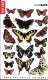 Card Safe Box: Schmetterlinge - Materiale