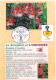 Delcampe - 12 Cartes Signes Zodiacaux Et Fleurs (Bourg En Bresse Floralies 2000) - Astrology