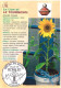 Delcampe - 12 Cartes Signes Zodiacaux Et Fleurs (Bourg En Bresse Floralies 2000) - Astrologie