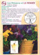 Delcampe - 12 Cartes Signes Zodiacaux Et Fleurs (Bourg En Bresse Floralies 2000) - Astrología