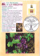 Delcampe - 12 Cartes Signes Zodiacaux Et Fleurs (Bourg En Bresse Floralies 2000) - Astrologie