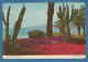 214005 / 1966 - 21 C. AIR MAIL , Santa Monica, CA Palisades Park  Cactus Cactaceae Kakteengewächse - United States USA - Cactusses