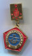 VOLLEYBALL Pallavolo -  Vintage Pin, Badge - Volleyball