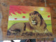 3D Postcards    Big Format Lions - Lions
