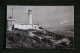 CAP FALCON - La Phare - Oran