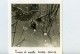 France La Dombes Poussin De Mouette Photographie Animalière Amateur Des Années 1960 - Other & Unclassified