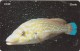 Isle Of Man, MAN 171, £3, Marine Life, Cuckoo Wrasse, Fish, 2 Scans. - Man (Ile De)