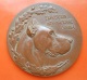 Medal - Exposicion Internacional Canina - Premio Al Merito 1918 - Autres & Non Classés