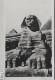 Cairo - The Excavated Sphinx - Sphinx