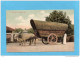 CEYLON-Colombo-bullock Cart -gros Plan- Attelage De Buffles-a Voyagé Pour Françe En 1906-Bel Affranchissement - Sri Lanka (Ceylon)