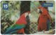 BRASIL C-668 Magnetic Telefonica - Animal, Bird, Parrot - Used - Brésil