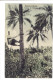 Liberia Monrovia Erklettern Der Palmbaume Couleur - Liberia