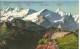 Schweiz, 1936, Stanserhorn, Panorama, Nach Oftringen, Siehe Scans! - Trin
