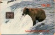 United States - ASK-04, Brown Bear Wit Salmon, 26.25$, 2,000ex, 11/93, Mint - Schede A Pulce