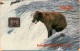 United States - ASK-04, Brown Bear Wit Salmon, 26.25$, 2,000ex, 11/93, Mint - [2] Chip Cards