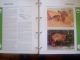 Delcampe - WWF. 1986 - 1988   OMNIBUS IN ALBUM +CASETTE  STAMPS  MNH**  +  FDC   See Photo´s  (dutch Language) - Lots & Serien