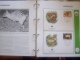 Delcampe - WWF. 1986 - 1988   OMNIBUS IN ALBUM +CASETTE  STAMPS  MNH**  +  FDC   See Photo´s  (dutch Language) - Lots & Serien