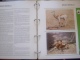 Delcampe - WWF. 1986 - 1988   OMNIBUS IN ALBUM +CASETTE  STAMPS  MNH**  +  FDC   See Photo´s  (dutch Language) - Verzamelingen & Reeksen