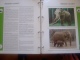 Delcampe - WWF. 1986 - 1988   OMNIBUS IN ALBUM +CASETTE  STAMPS  MNH**  +  FDC   See Photo´s  (dutch Language) - Verzamelingen & Reeksen