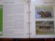 Delcampe - WWF. 1986 - 1988   OMNIBUS IN ALBUM +CASETTE  STAMPS  MNH**  +  FDC   See Photo´s  (dutch Language) - Collections, Lots & Séries