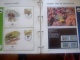 Delcampe - WWF. 1986 - 1988   OMNIBUS IN ALBUM +CASETTE  STAMPS  MNH**  +  FDC   See Photo´s  (dutch Language) - Colecciones & Series