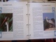 Delcampe - WWF. 1986 - 1988   OMNIBUS IN ALBUM +CASETTE  STAMPS  MNH**  +  FDC   See Photo´s  (dutch Language) - Verzamelingen & Reeksen