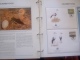 Delcampe - WWF. 1986 - 1988   OMNIBUS IN ALBUM +CASETTE  STAMPS  MNH**  +  FDC   See Photo´s  (dutch Language) - Collections, Lots & Séries