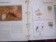 Delcampe - WWF. 1986 - 1988   OMNIBUS IN ALBUM +CASETTE  STAMPS  MNH**  +  FDC   See Photo´s  (dutch Language) - Verzamelingen & Reeksen