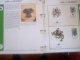 Delcampe - WWF. 1986 - 1988   OMNIBUS IN ALBUM +CASETTE  STAMPS  MNH**  +  FDC   See Photo´s  (dutch Language) - Collections, Lots & Séries