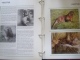 Delcampe - WWF. 1986 - 1988   OMNIBUS IN ALBUM +CASETTE  STAMPS  MNH**  +  FDC   See Photo´s  (dutch Language) - Colecciones & Series
