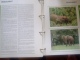 Delcampe - WWF. 1986 - 1988   OMNIBUS IN ALBUM +CASETTE  STAMPS  MNH**  +  FDC   See Photo´s  (dutch Language) - Colecciones & Series