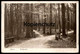 ALTE POSTKARTE UELZEN WALDPARTIE Wald Bäume Holz Forest Ansichtskarte Postcard AK Cpa - Uelzen