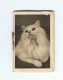 Petit Calendrier 1941 (+/- 3,5 X 5,5 Cm) Chat (Fr38) - Petit Format : 1941-60